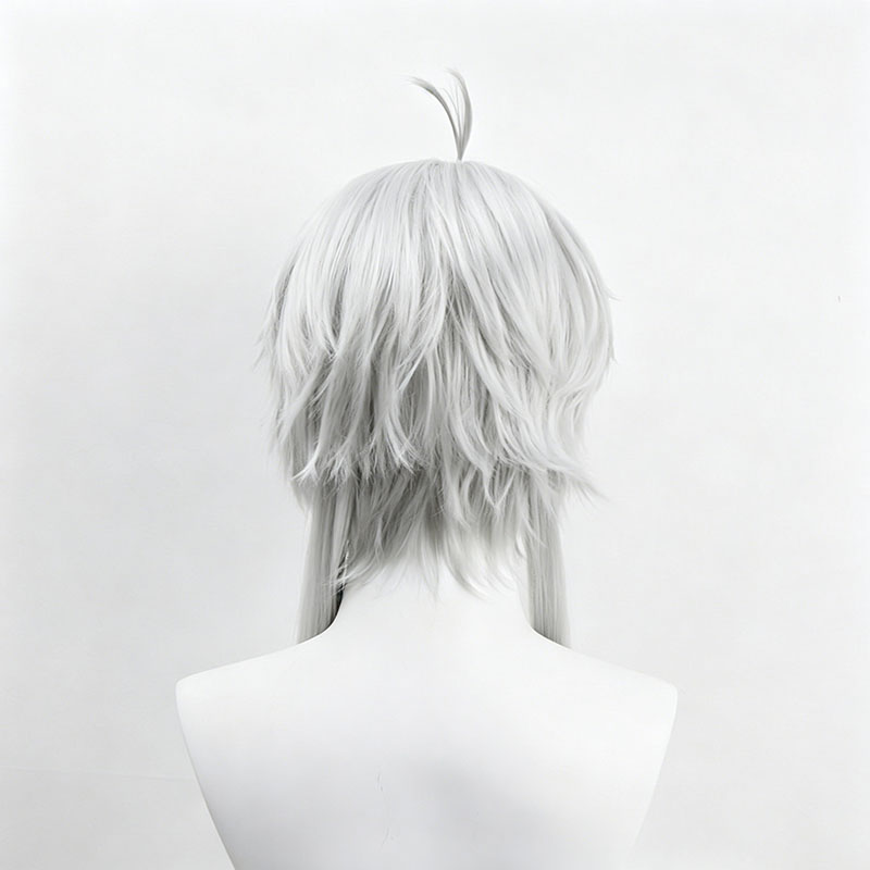 Anime Sylphiette Cosplay Wig G - Men Accessories Earrings recension och pris