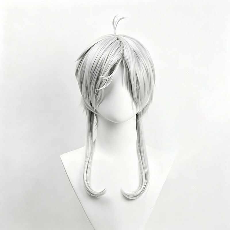 Anime Sylphiette Cosplay Wig G - Men Accessories Earrings recension och pris